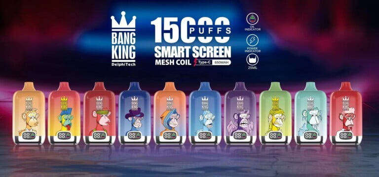 Bang King smartscreen 15000 Puffs 0% 2% 3% 5% Nicotine Rechargeable Disposable Vape Wholesale - LOGOVAPE - 14