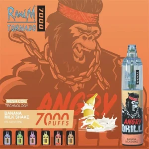 RandM Tornado 7000 Puffs 0% 2% 3% 5% Nicotine Disposable Vape Wholesale - LOGOVAPE - 14