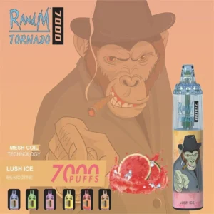 RandM Tornado 7000 Puffs 0% 2% 3% 5% Nicotine Disposable Vape Wholesale - LOGOVAPE - 12