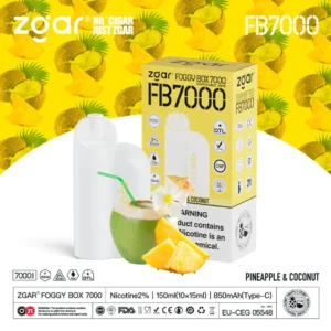 ZGAR FOGGY BOX 7000 Puffs 2% Nicotine Rechargeable Disposable Vape Wholesale - LOGOVAPE - 27