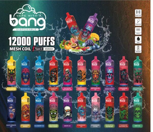 Bang Box 12000 Puffs 0% 2% 3% 5% Nicotine Rechargeable Disposable Vape Wholesale - LOGOVAPE - 1