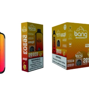 Bang Vape 20000 Puffs Dual Mesh 0% 2% 3% 5% Low Nicotine LED display Rechargeable Bulk Buy Disposable Vape Pen Wholesale - LOGOVAPE - 27