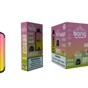 Bang Vape 20000 Puffs Dual Mesh 0% 2% 3% 5% Low Nicotine LED display Rechargeable Bulk Buy Disposable Vape Pen Wholesale - LOGOVAPE - 28