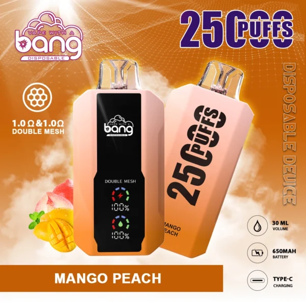 Bang 25000 Puffs 0% 2% 3% 5% Low Nicotine Rechargeable Disposable Vapes Pen Bulk Buy Wholesale - LOGOVAPE - 2