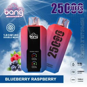 Bang 25000 Puffs 0% 2% 3% 5% Low Nicotine Rechargeable Disposable Vapes Pen Bulk Buy Wholesale - LOGOVAPE - 14