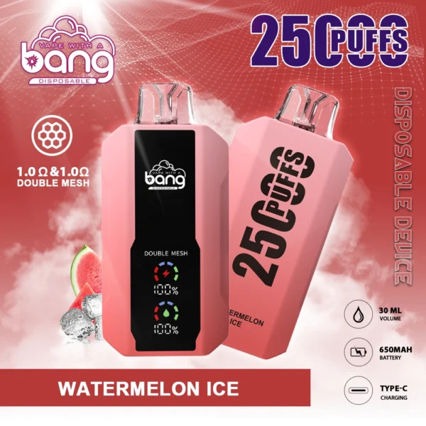 Bang 25000 Puffs 0% 2% 3% 5% Low Nicotine Rechargeable Disposable Vapes Pen Bulk Buy Wholesale - LOGOVAPE - 5