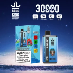 Bang King 30000 Puffs Double Flavor 0% 2% 3% 5% Low Nicotine Rechargeable Disposable Vapes Pen Bulk Buy Wholesale - LOGOVAPE - 15