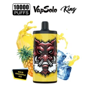 Vapsolo King 10000 Puffs 2% 5% Low Nicotine Rechargeable Disposable Vapes Pen Bulk Buy Wholesale - LOGOVAPE - 35