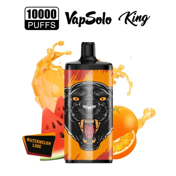 Vapsolo King 10000 Puffs 2% 5% Low Nicotine Rechargeable Disposable Vapes Pen Bulk Buy Wholesale - LOGOVAPE - 18