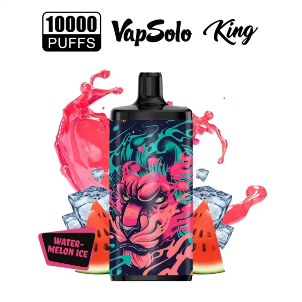 Vapsolo King 10000 Puffs 2% 5% Low Nicotine Rechargeable Disposable Vapes Pen Bulk Buy Wholesale - LOGOVAPE - 19