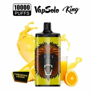 Vapsolo King 10000 Puffs 2% 5% Low Nicotine Rechargeable Disposable Vapes Pen Bulk Buy Wholesale - LOGOVAPE - 26