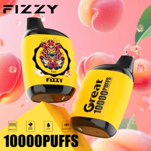 Fizzy Great 10000 Puffs 2% 5% Low Nicotine Rechargeable Disposable Vapes Pen Bulk Buy Wholesale - LOGOVAPE - 12