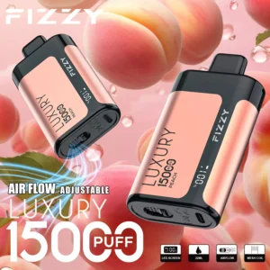 Fizzy Luxury 15000 Puffs 2% 5% Low Nicotine Rechargeable Disposable Vapes Pen Bulk Buy Wholesale - LOGOVAPE - 13