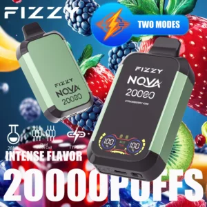 Fizzy Nova 20000 Puffs Dual Mesh 2% 5% Low Nicotine Rechargeable Disposable Vapes Pen Bulk Buy Wholesale - LOGOVAPE - 11