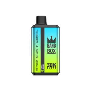 Bang Box 30000 Puffs Double Flavour 0% 2% 3% 5% Low Nicotine Rechargeable Disposable Vapes Pen Bulk Buy Wholesale - LOGOVAPE - 15